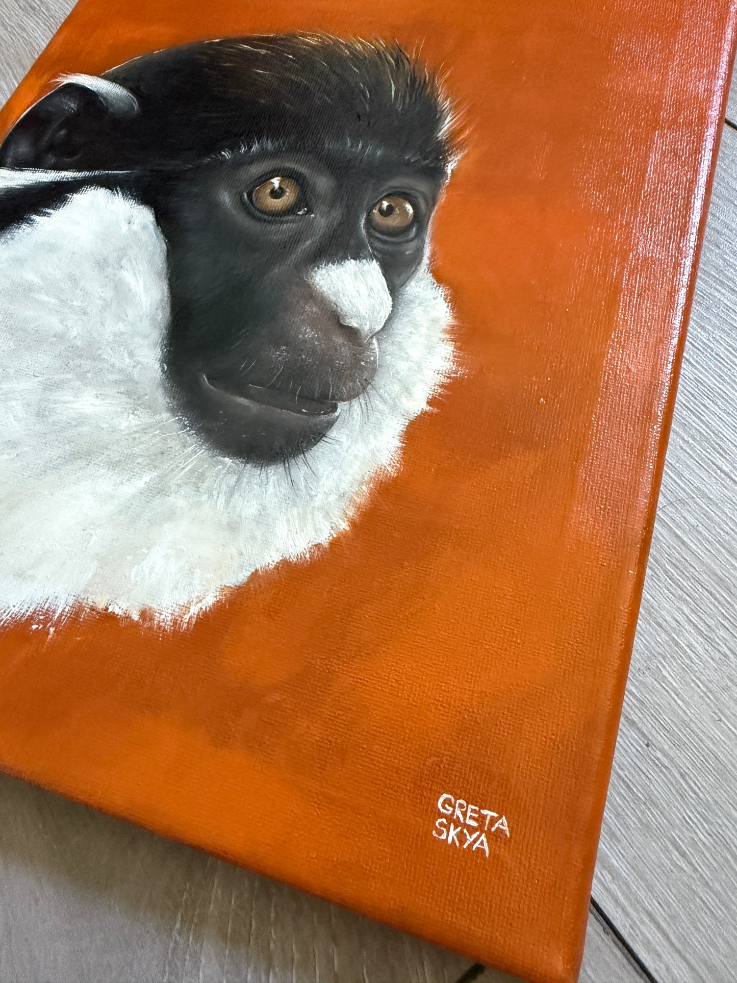 LESSER SPOT-NOSED GUENON