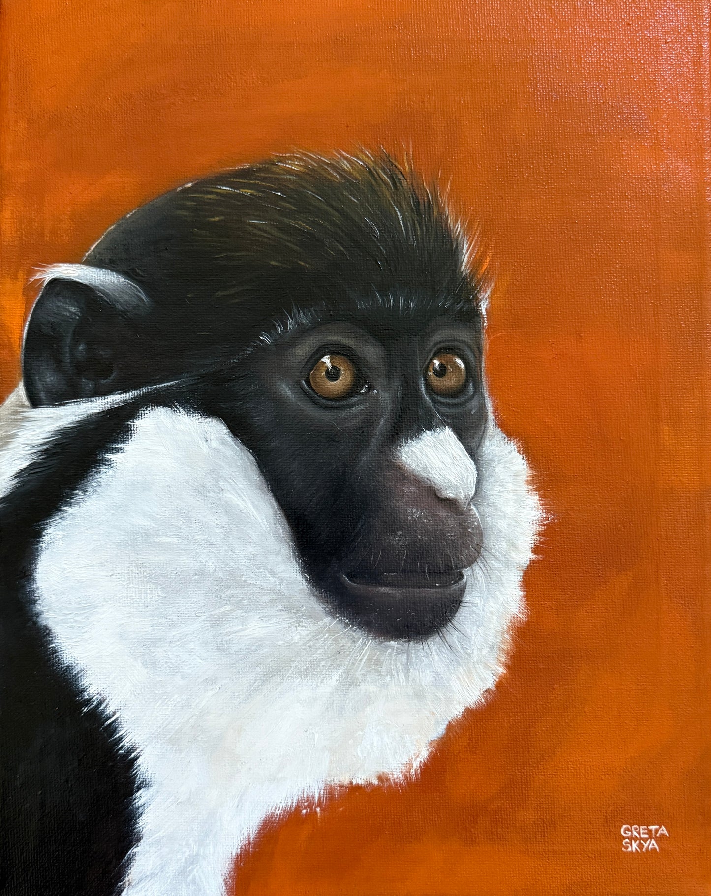 LESSER SPOT-NOSED GUENON